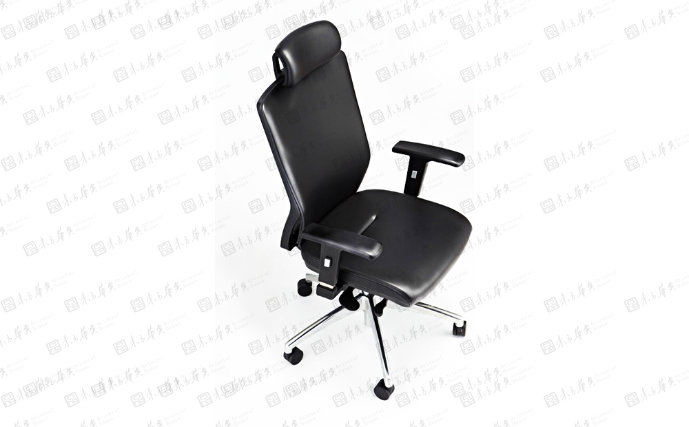 k|FƤ|kҾ|Zebra|FwWOӋm͸Ƥ W T а h Zebra