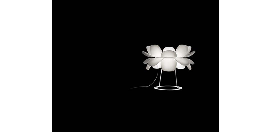 F(xin)|_|kҾ|InfioreF(xin)_ CGT1111