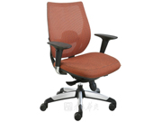Mesh Medium Back Chair
