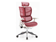 Mesh Executive Chair