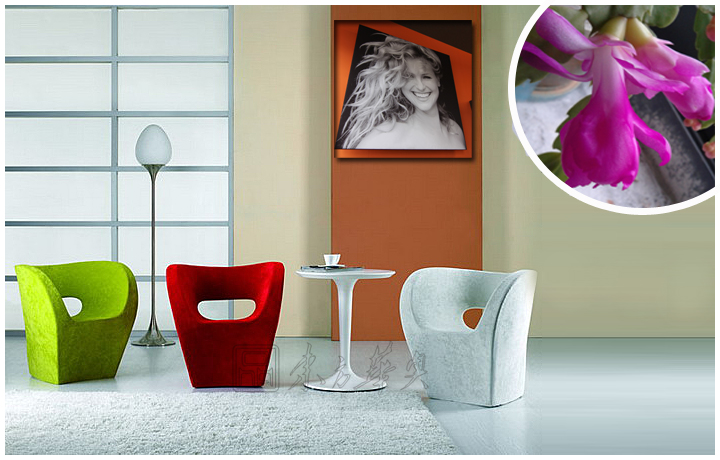 現(xiàn)代經(jīng)典休閑椅|布面休閑椅|辦公家具|小阿爾貝特椅|休閑椅,布面休閑椅,設(shè)計(jì)師椅,茶餐廳椅,酒吧椅