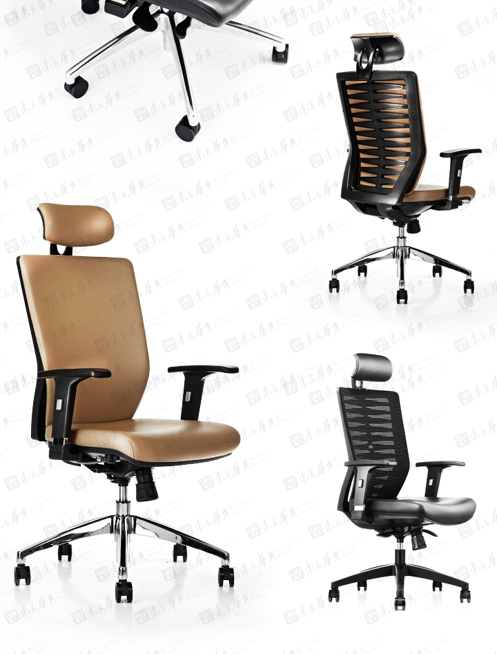 k|WT|kҾ|Zebra|FwWOӋm͸Ƥ W T а h