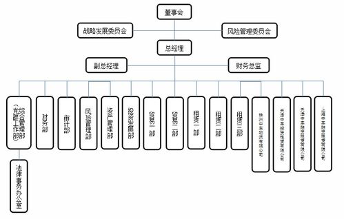 中國(guó)中車旗下46家子公司軟件開發(fā)組織架構(gòu)概覽